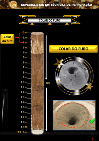 2 Collaring portugués