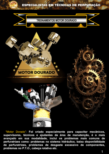 Motor Dourado Port